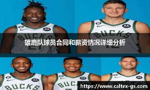 雄鹿队球员合同和薪资情况详细分析